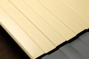 Профнастил С8 1200/1150x0,45 мм, 1014 слоновая кость глянцевый